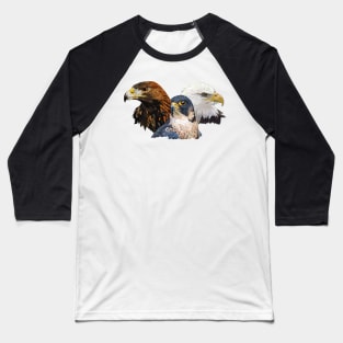 Peregrine Falcon and Eagles Baseball T-Shirt